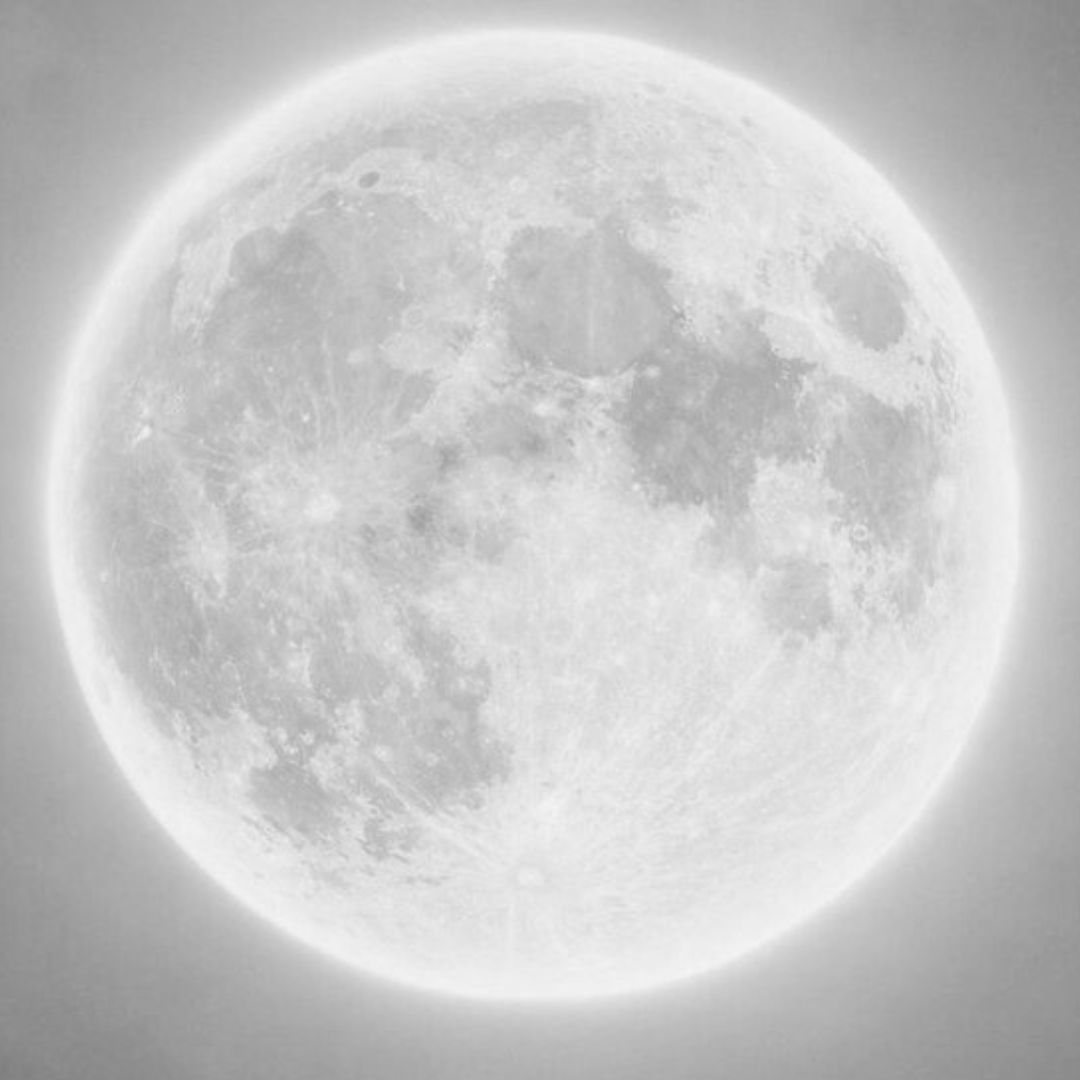 Moon Manifesting Program